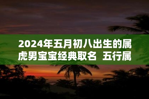 2024年五月初八出生的属虎男宝宝经典取名  五行属什么