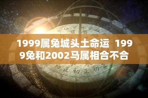 1999属兔城头土命运  1999兔和2002马属相合不合