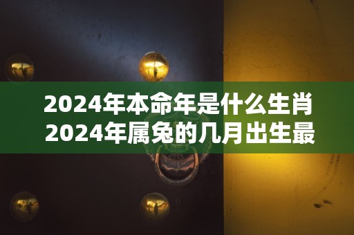 2024年本命年是什么生肖 2024年属兔的几月出生最好命