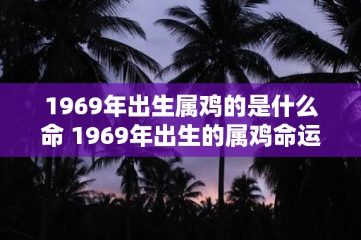 1969年出生属鸡的是什么命 1969年出生的属鸡命运如何