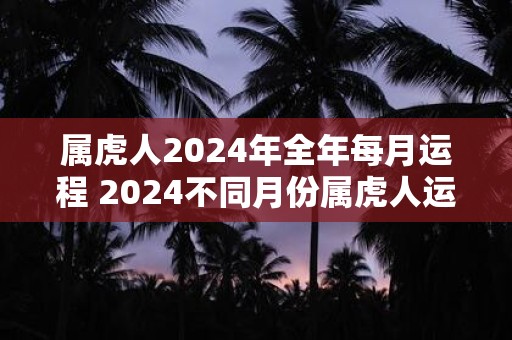 属虎人2024年全年每月运程 2024不同月份属虎人运势详解