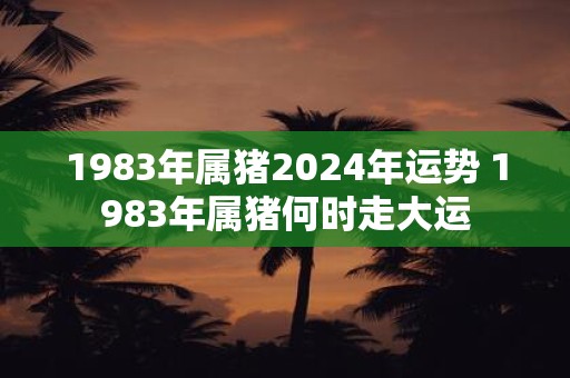 1983年属猪2024年运势 1983年属猪何时走大运