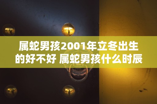 属蛇男孩2001年立冬出生的好不好 属蛇男孩什么时辰出生好