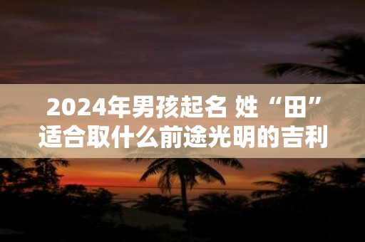 2024年男孩起名 姓“田”适合取什么前途光明的吉利名字