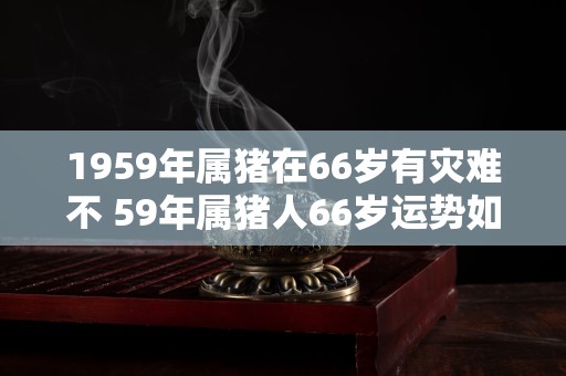 1959年属猪在66岁有灾难不 59年属猪人66岁运势如何