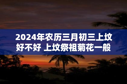 2024年农历三月初三上坟好不好 上坟祭祖菊花一般用几朵