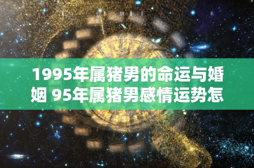 1995年属猪男的命运与婚姻 95年属猪男感情运势怎么样