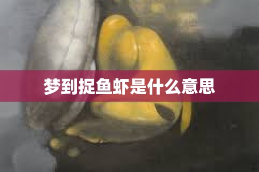 梦到捉鱼虾是什么意思