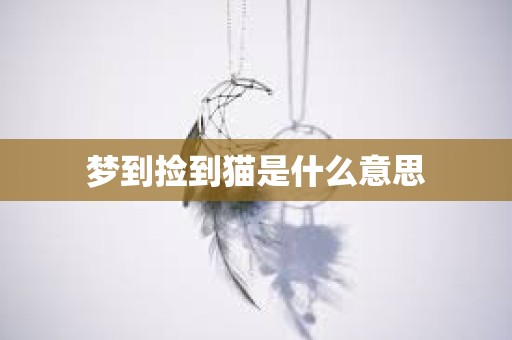 梦到捡到猫是什么意思