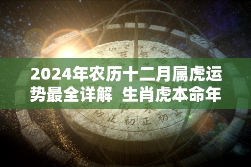 2024年农历十二月属虎运势最全详解  生肖虎本命年事业运程