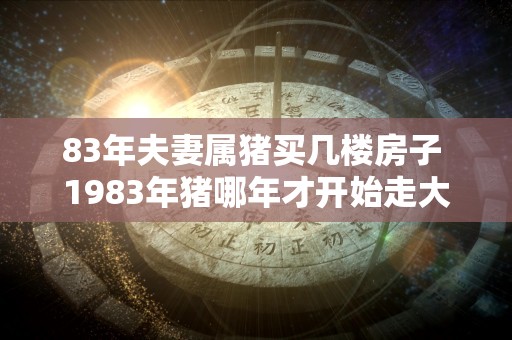 83年夫妻属猪买几楼房子 1983年猪哪年才开始走大运