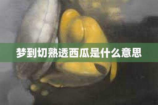 梦到切熟透西瓜是什么意思