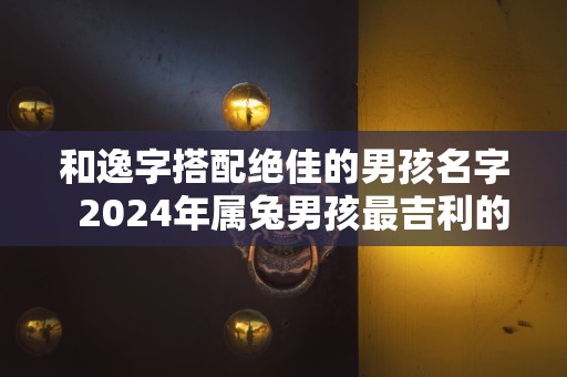 和逸字搭配绝佳的男孩名字  2024年属兔男孩最吉利的名字