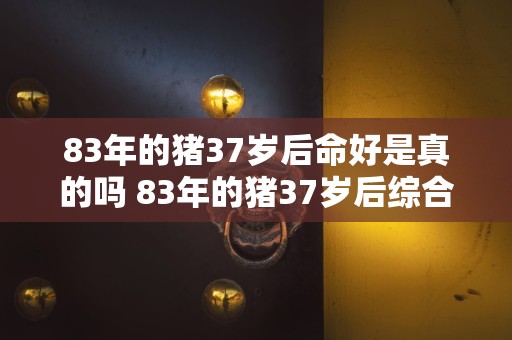 83年的猪37岁后命好是真的吗 83年的猪37岁后综合运势