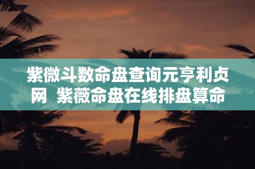 紫微斗数命盘查询元亨利贞网  紫薇命盘在线排盘算命元亨利贞