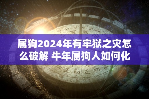 属狗2024年有牢狱之灾怎么破解 牛年属狗人如何化解灾难