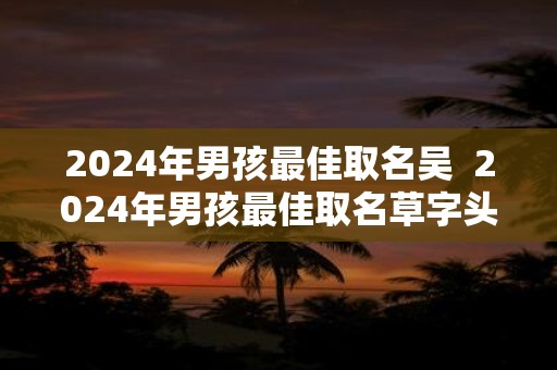 2024年男孩最佳取名吴  2024年男孩最佳取名草字头