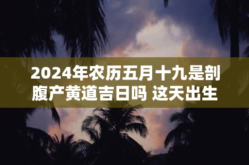 2024年农历五月十九是剖腹产黄道吉日吗 这天出生的孩子好吗