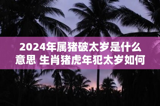 2024年属猪破太岁是什么意思 生肖猪虎年犯太岁如何化解