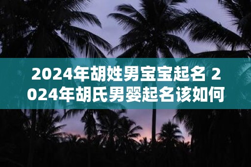 2024年胡姓男宝宝起名 2024年胡氏男婴起名该如何选择