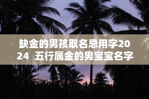 缺金的男孩取名忌用字2024  五行属金的男宝宝名字用字