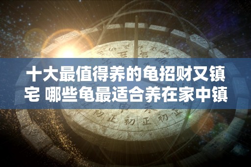 十大最值得养的龟招财又镇宅 哪些龟最适合养在家中镇宅招财