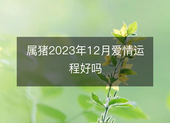 属猪2023年12月爱情运程好吗