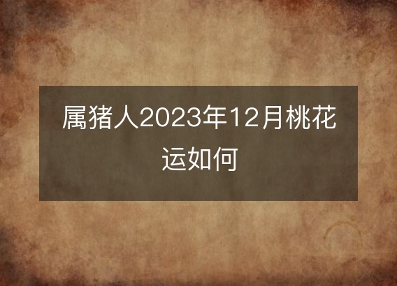 属猪人2023年12月桃花运如何