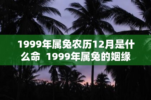 1999年属兔农历12月是什么命  1999年属兔的姻缘